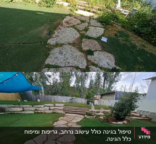 שביל אבנים בגינה עם צמחים ועשבים מסביב